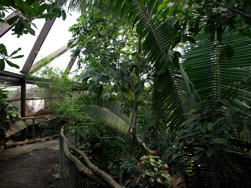 Papiliorama - Jungle Trek