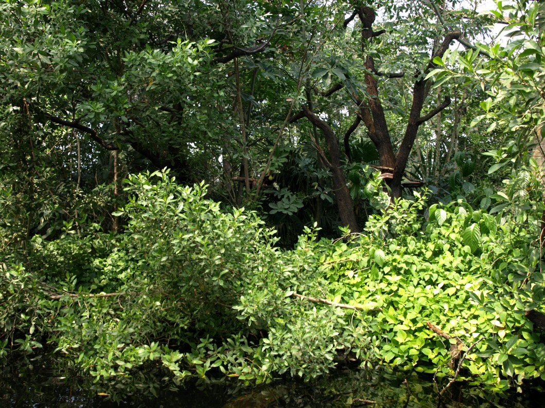Papiliorama - Jungle Trek