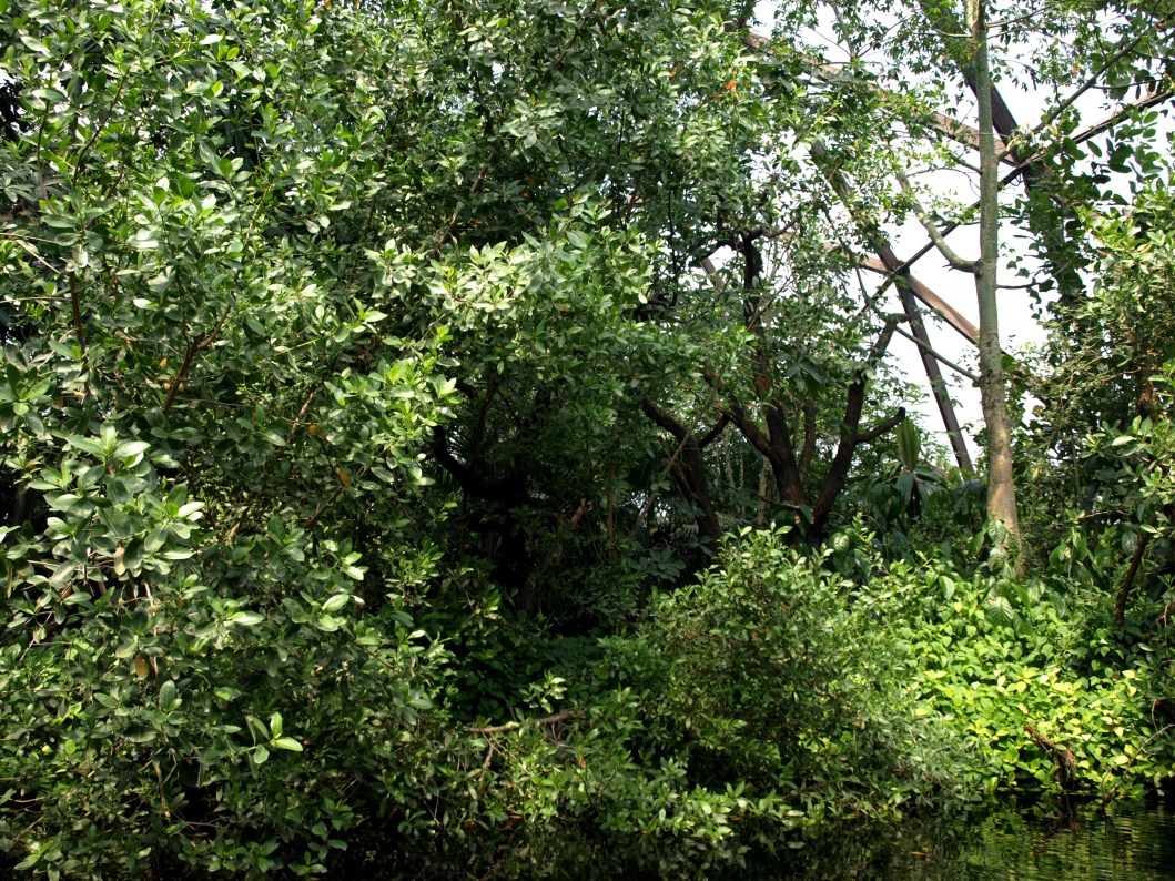 Papiliorama - Jungle Trek