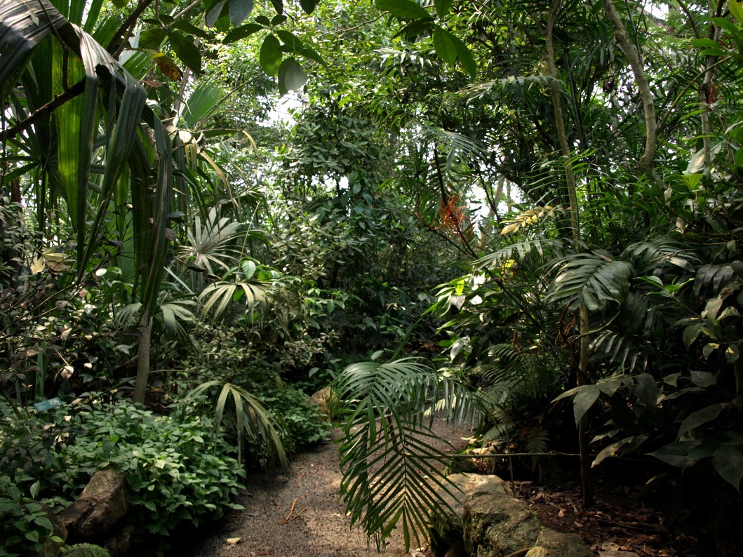 Papiliorama - Jungle Trek