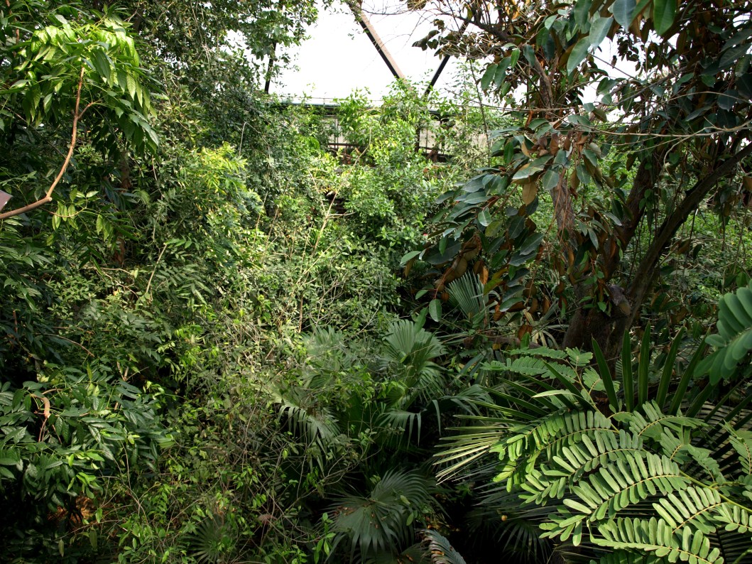 Papiliorama - Jungle Trek