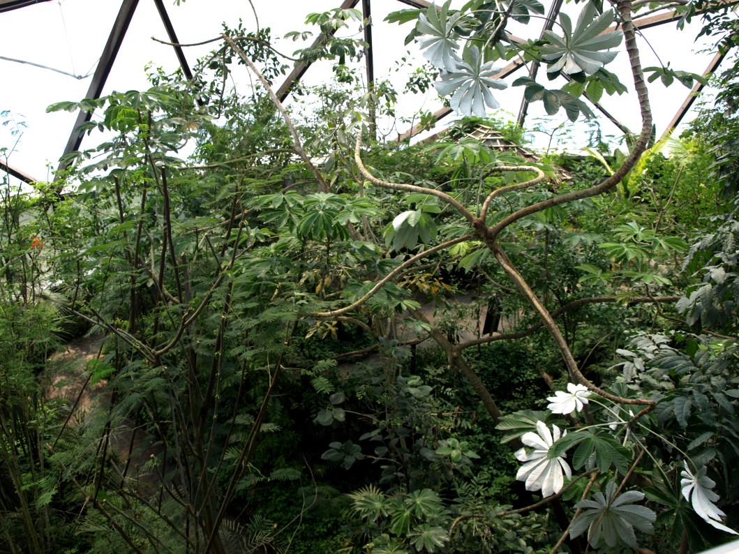 Papiliorama - Jungle Trek