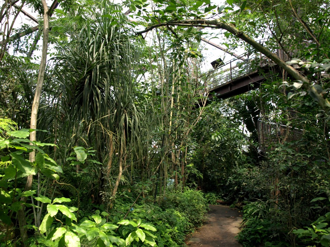 Papiliorama - Jungle Trek