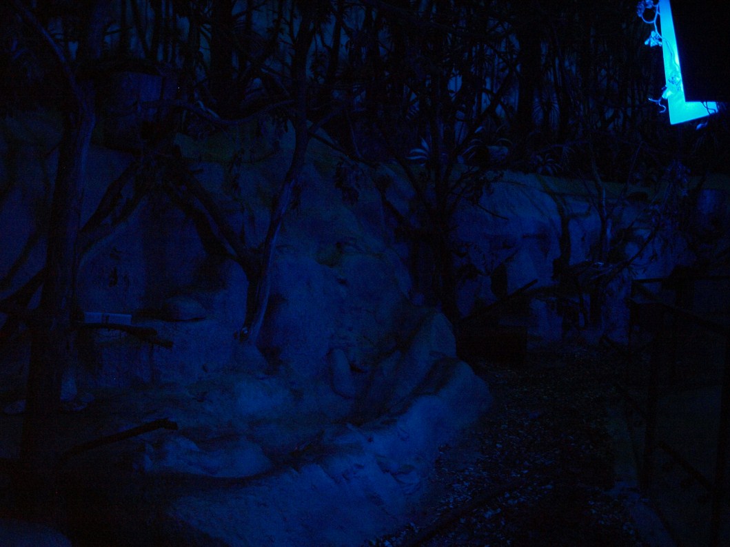 Papiliorama - Nocturama (Kinkajou exhibit)