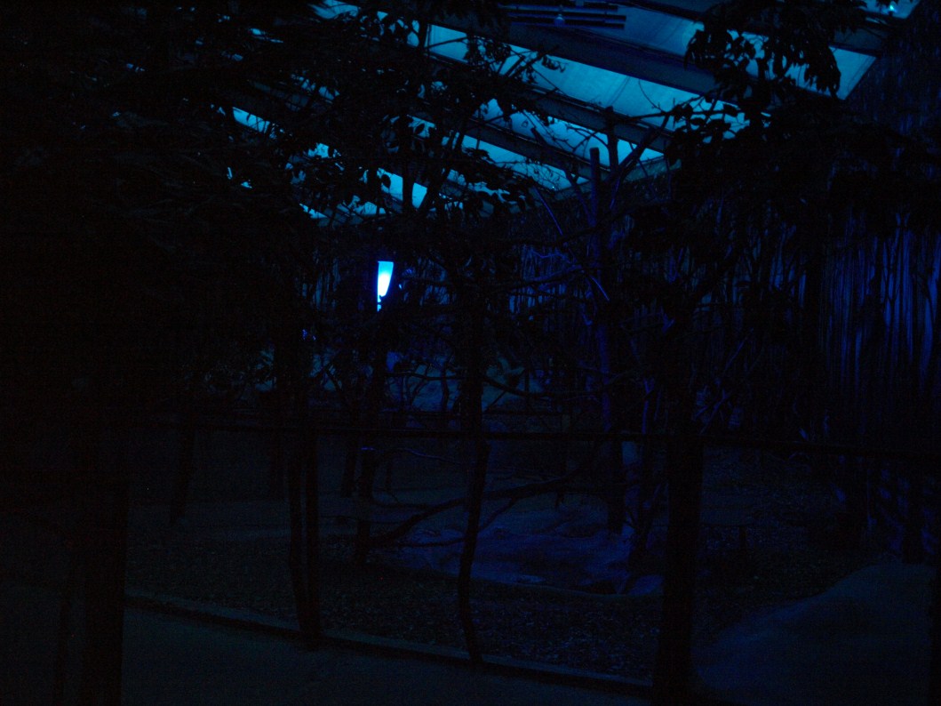 Papiliorama - Nocturama (Mixed exhibit)