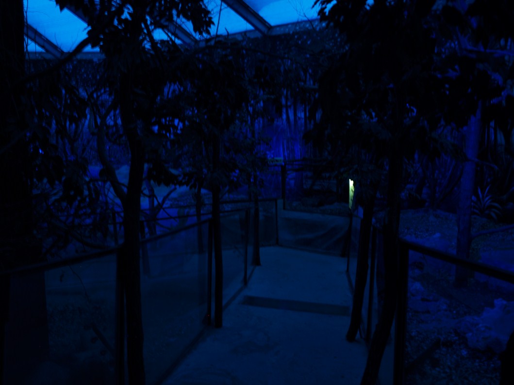 Papiliorama - Nocturama (Mixed exhibit)