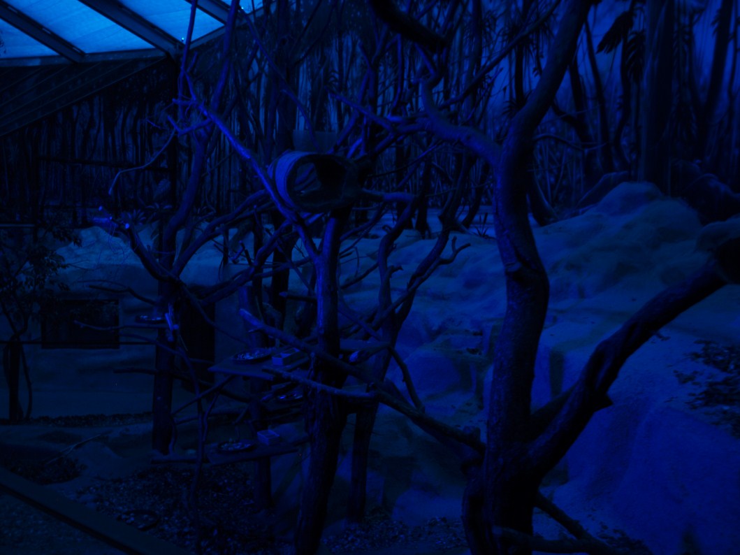 Papiliorama - Nocturama (Mixed exhibit)