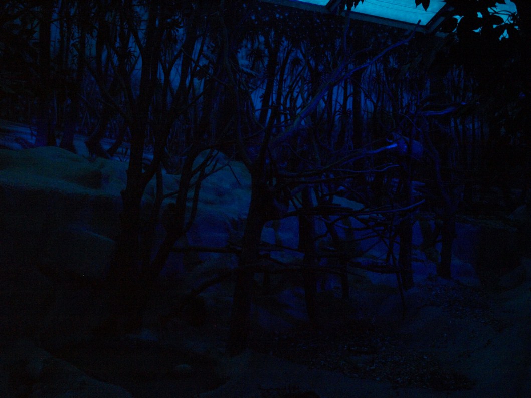 Papiliorama - Nocturama (Mixed exhibit)