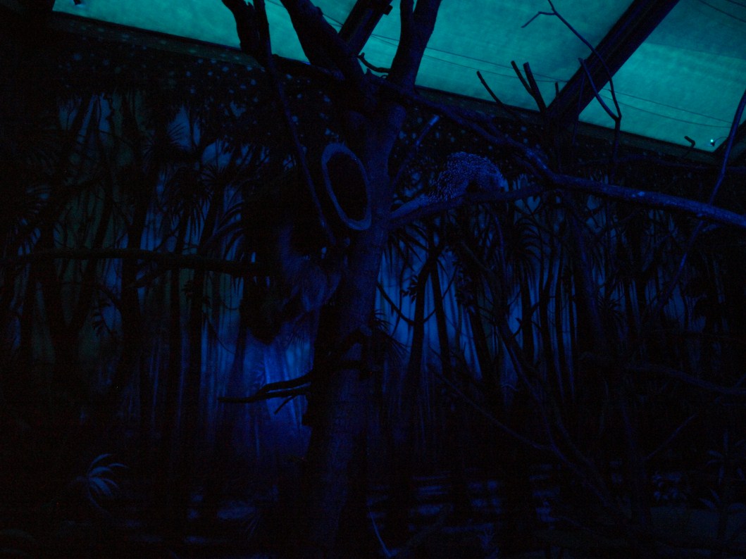 Papiliorama - Nocturama (Mixed exhibit)