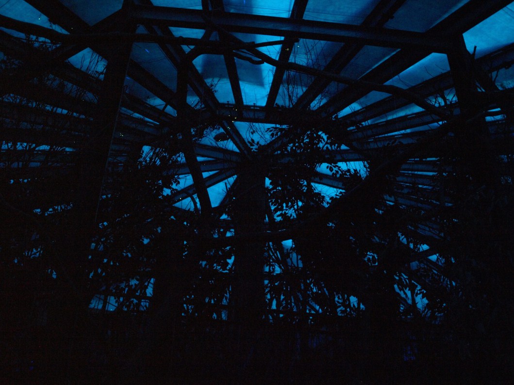 Papiliorama - Nocturama