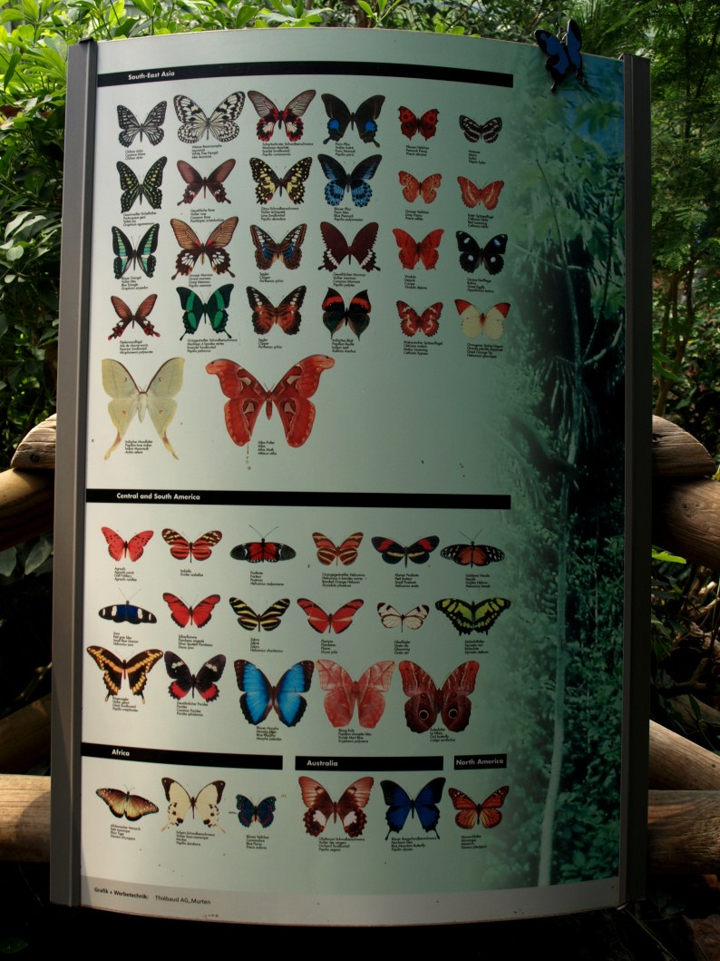 Papiliorama - Papiliorama Hall (Butterfly signage)