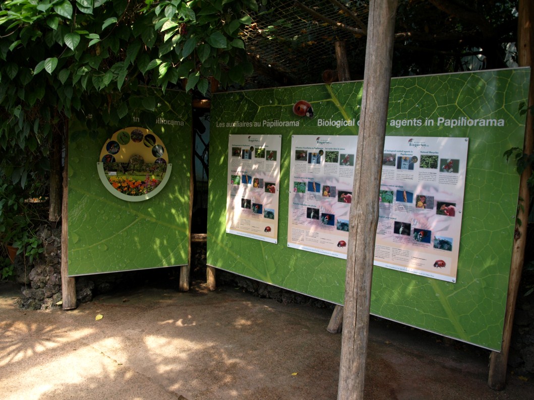 Papiliorama - Papiliorama Hall (Exhibition)