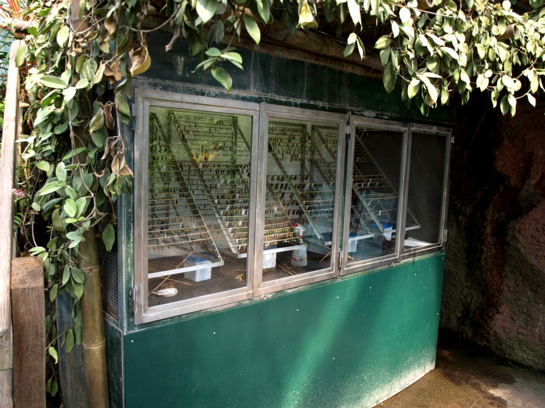 Papiliorama - Papiliorama Hall (Hatching station)