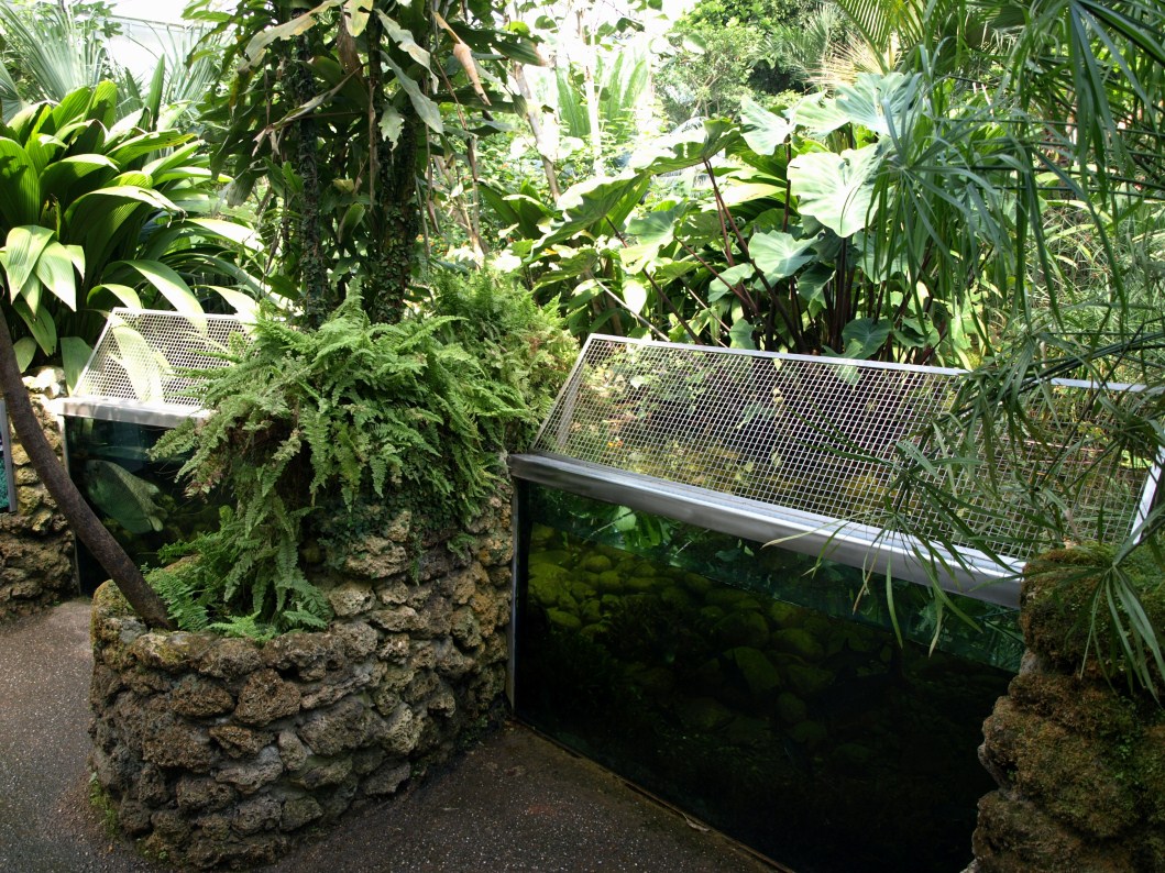Papiliorama - Papiliorama Hall (Pool)