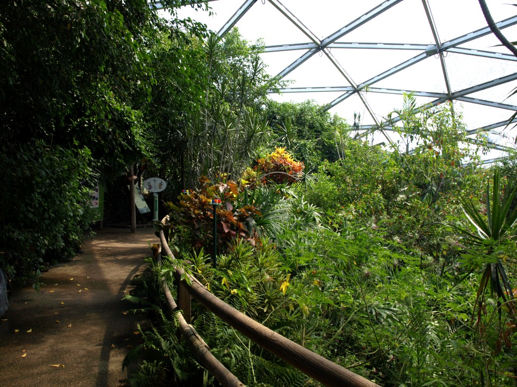 Papiliorama - Papiliorama Hall