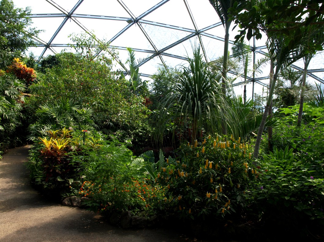 Papiliorama - Papiliorama Hall