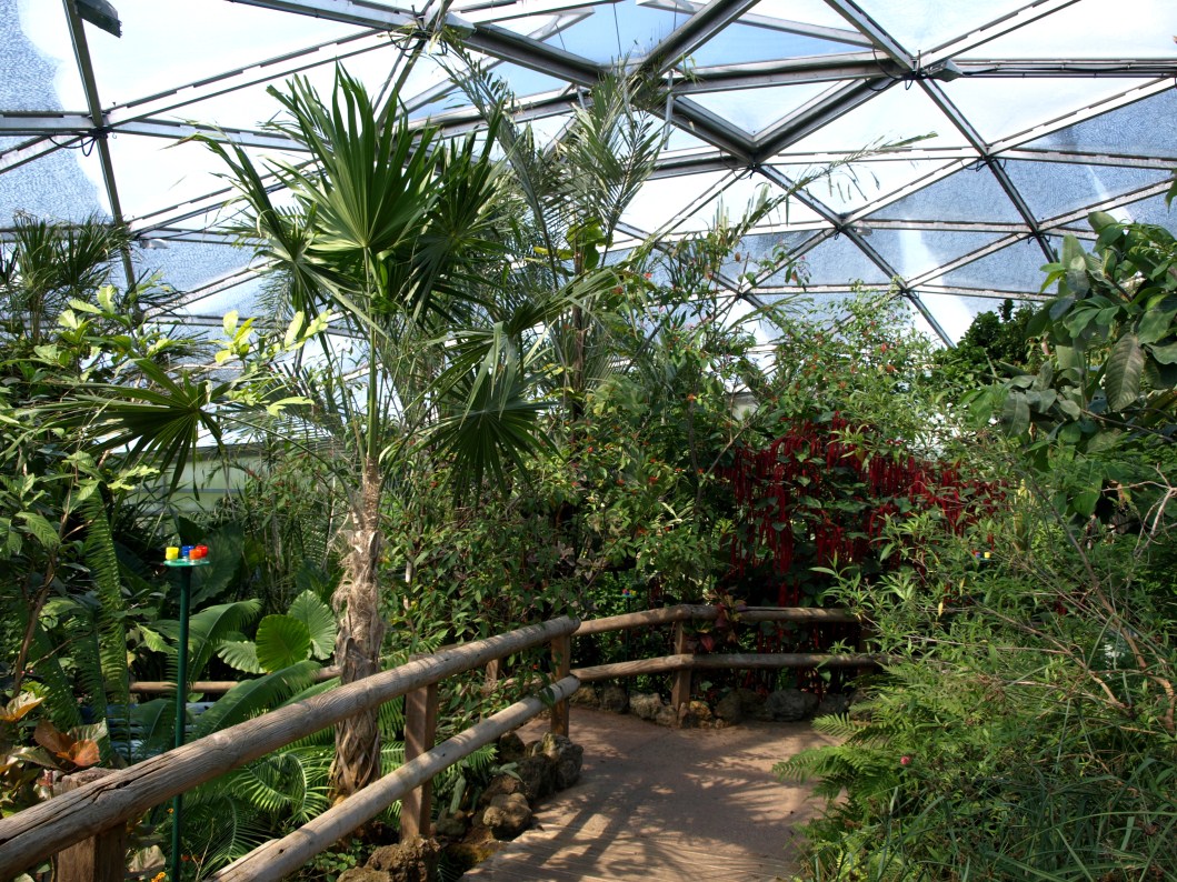 Papiliorama - Papiliorama Hall