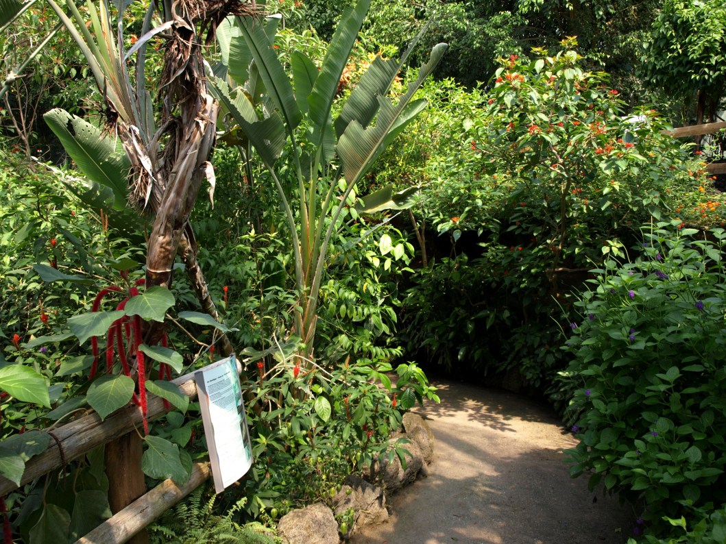 Papiliorama - Papiliorama Hall