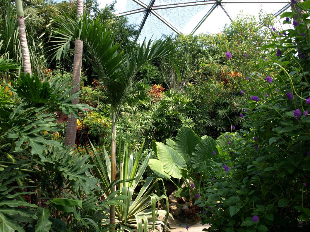 Papiliorama - Papiliorama Hall