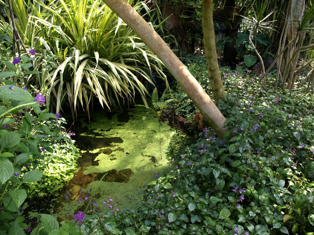 Papiliorama - Papiliorama Hall