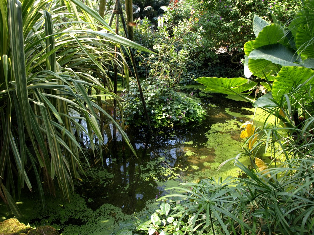 Papiliorama - Papiliorama Hall