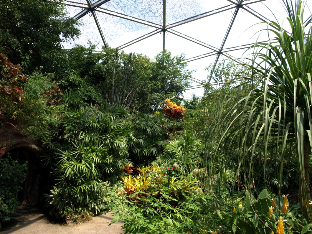Papiliorama - Papiliorama Hall