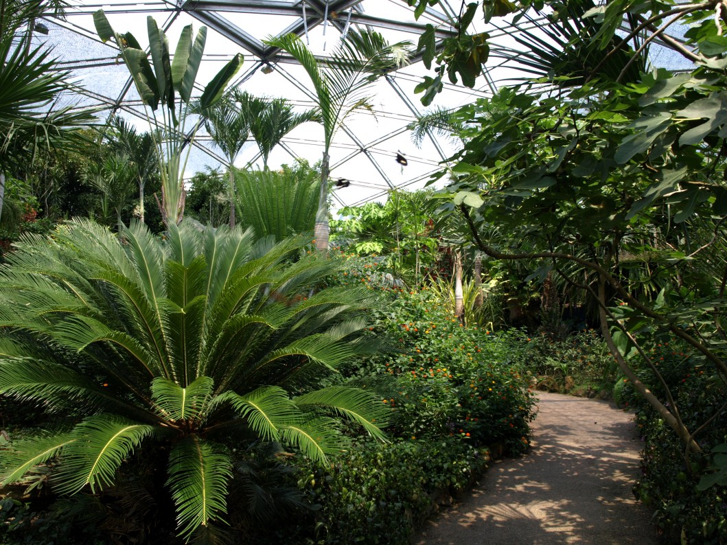 Papiliorama - Papiliorama Hall
