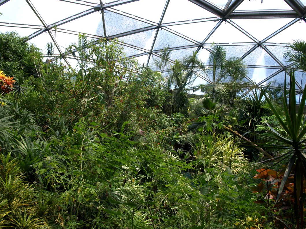 Papiliorama - Papiliorama Hall