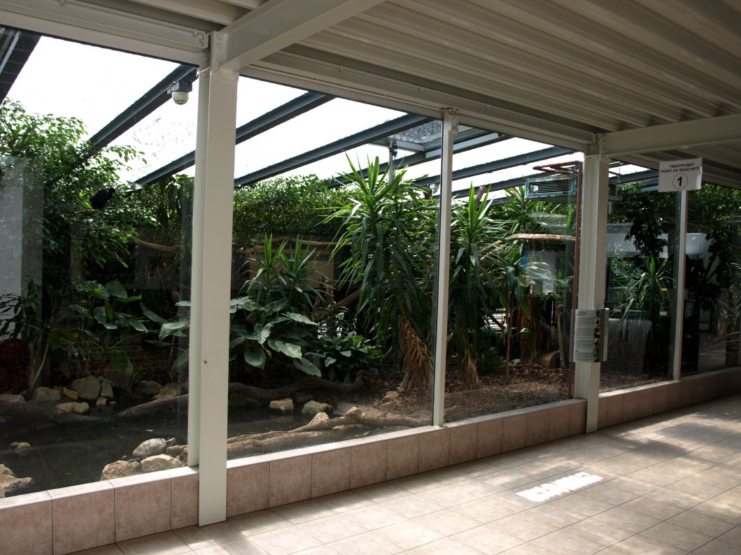 Papiliorama - Rainforest exhibit #2