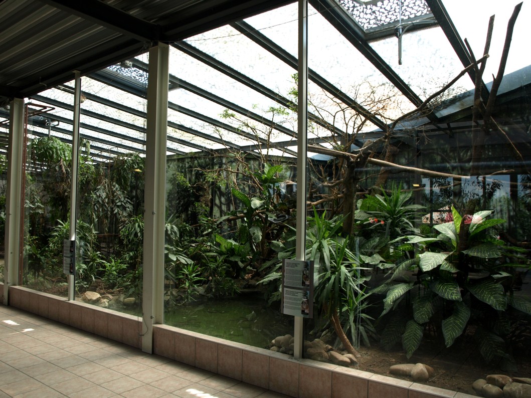 Papiliorama - Rainforest exhibit #3