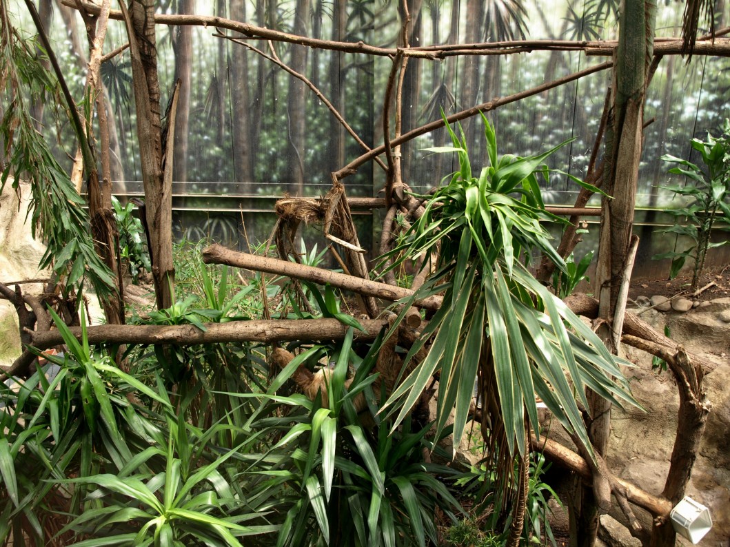 Papiliorama - Rainforest exhibit #3