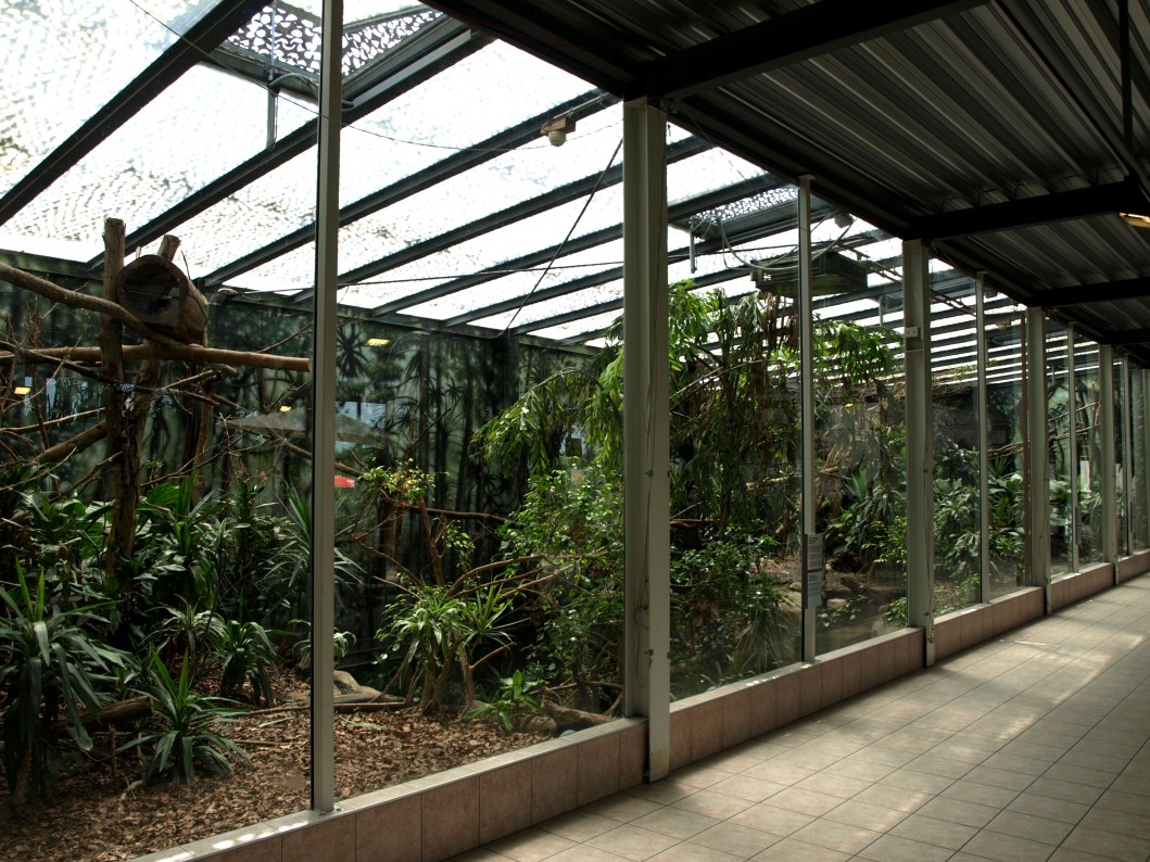 Papiliorama - Rainforest exhibit #3