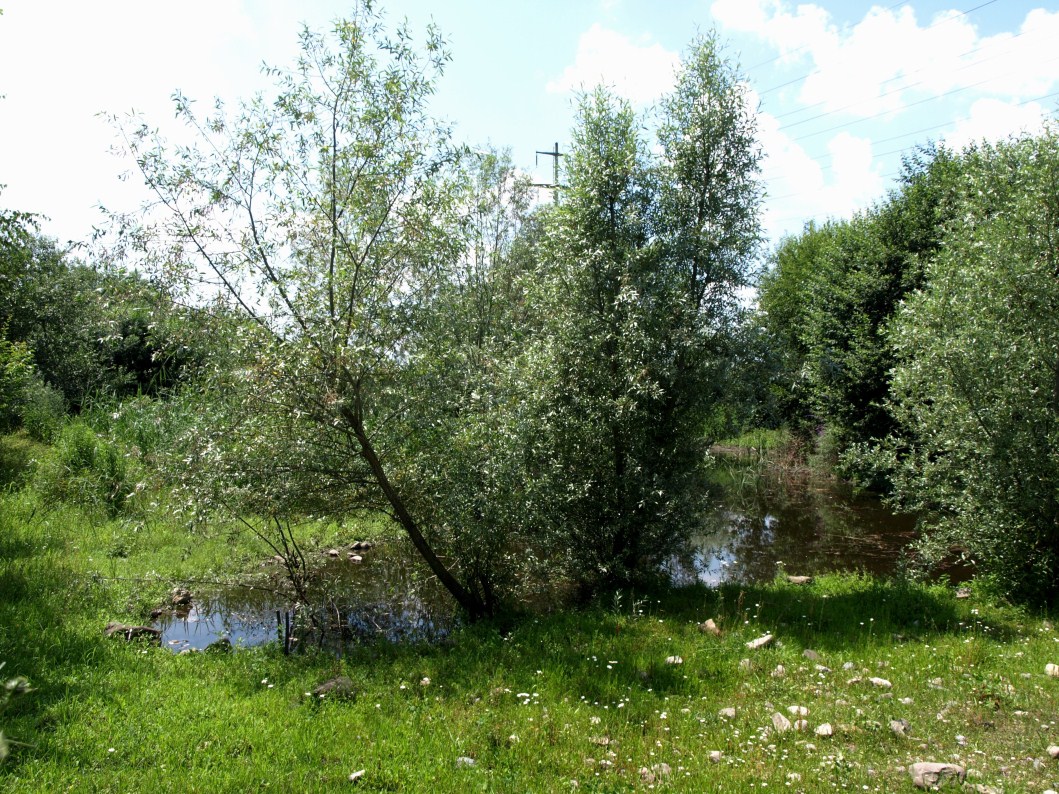 Papiliorama - Silver Lake