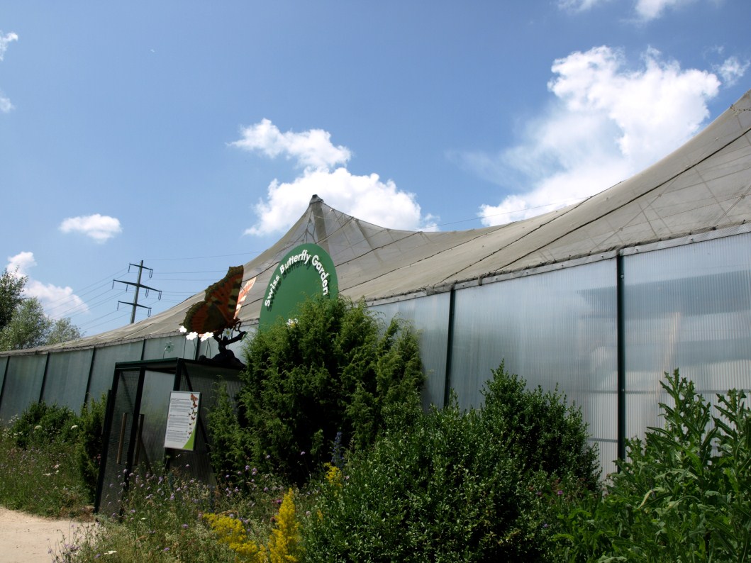 Papiliorama - Swiss Butterfly Garden