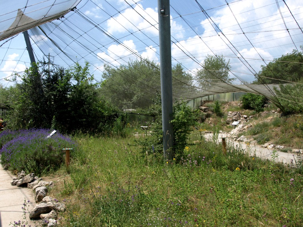 Papiliorama - Swiss Butterfly Garden