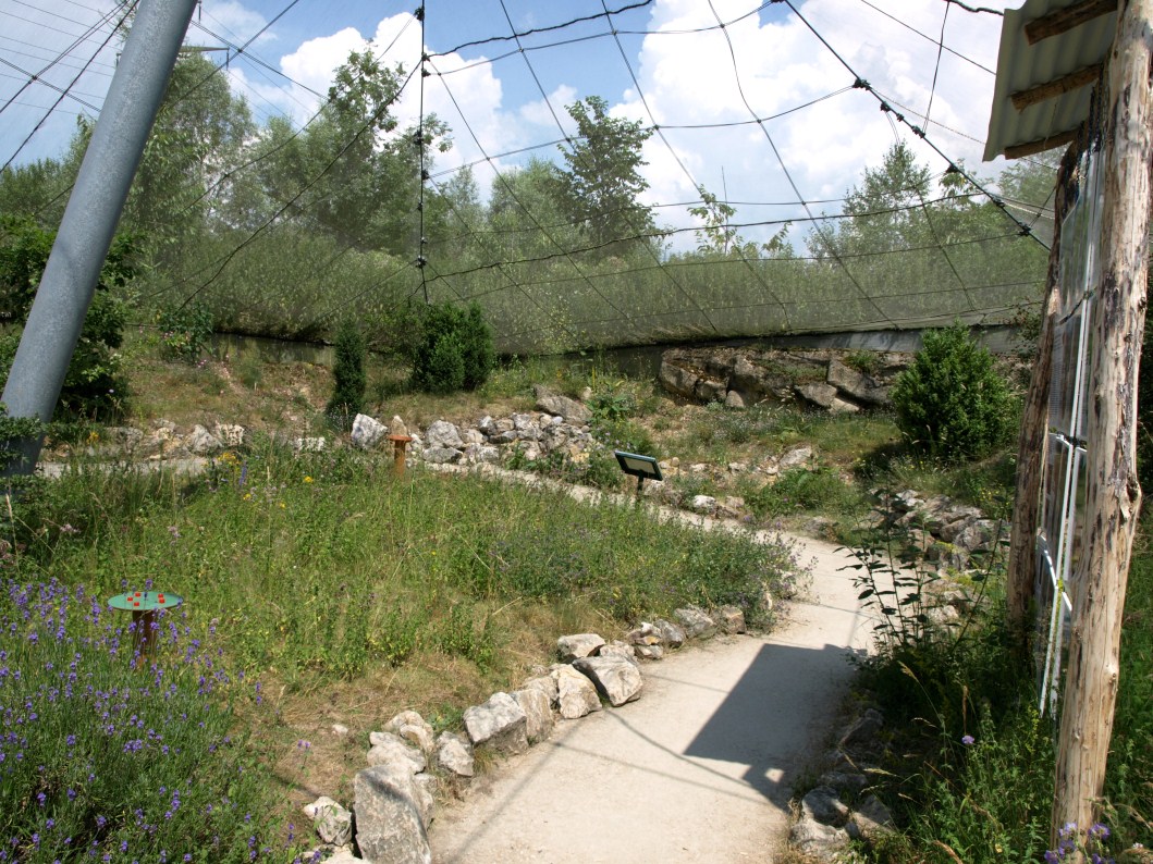 Papiliorama - Swiss Butterfly Garden