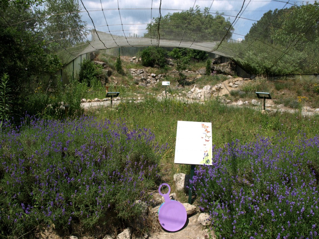 Papiliorama - Swiss Butterfly Garden