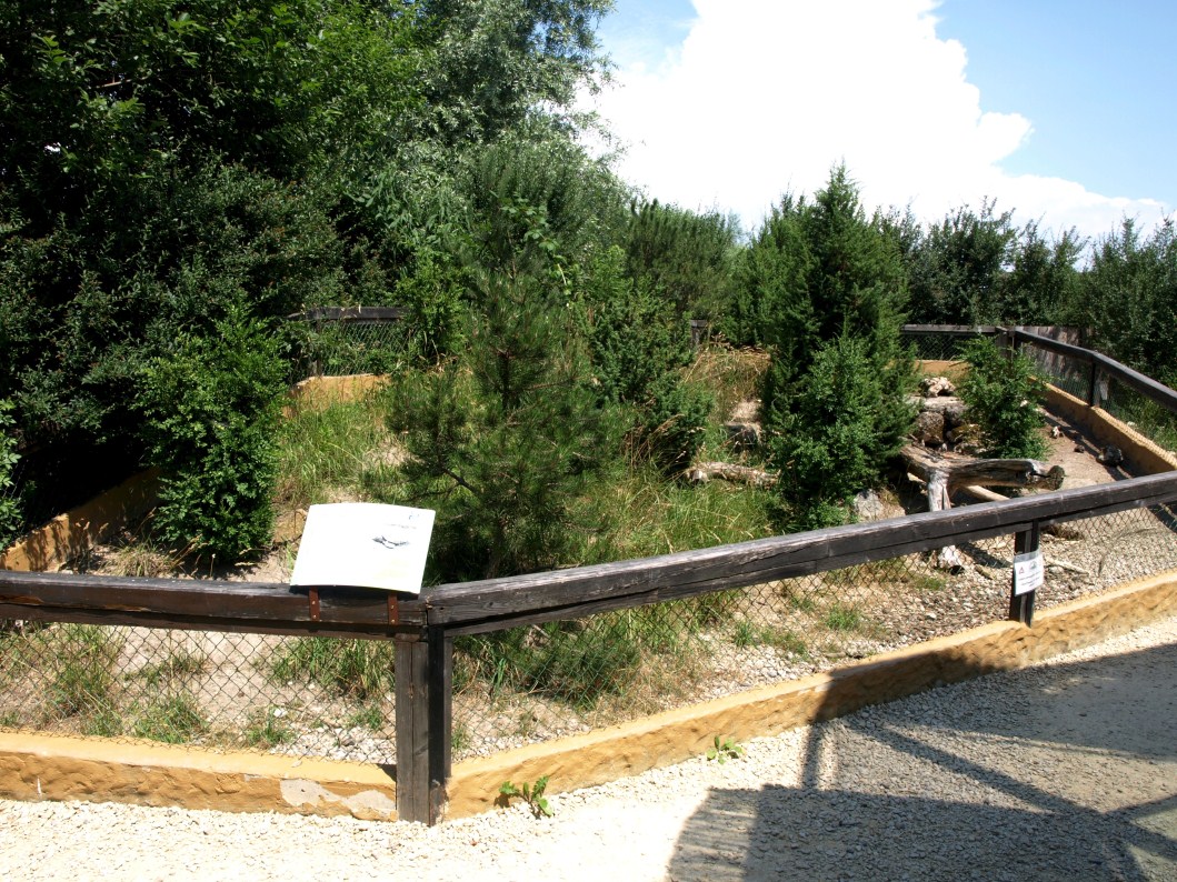 Papiliorama - Tortoise exhibit