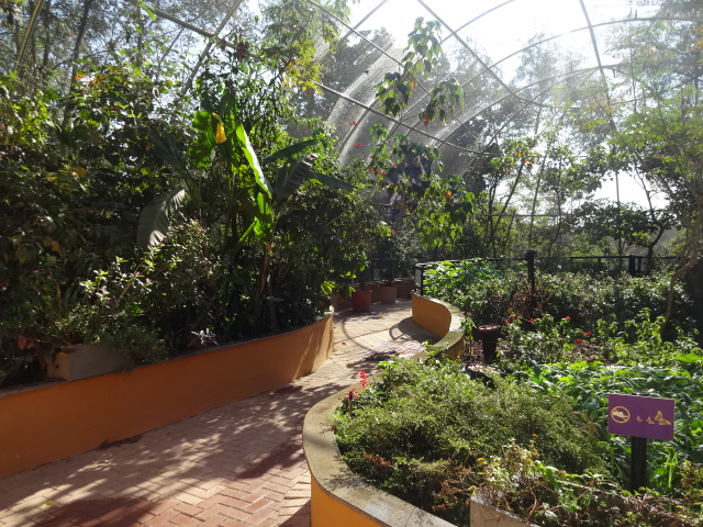Papillorama/butterfly house - Belo Horizonte zoo