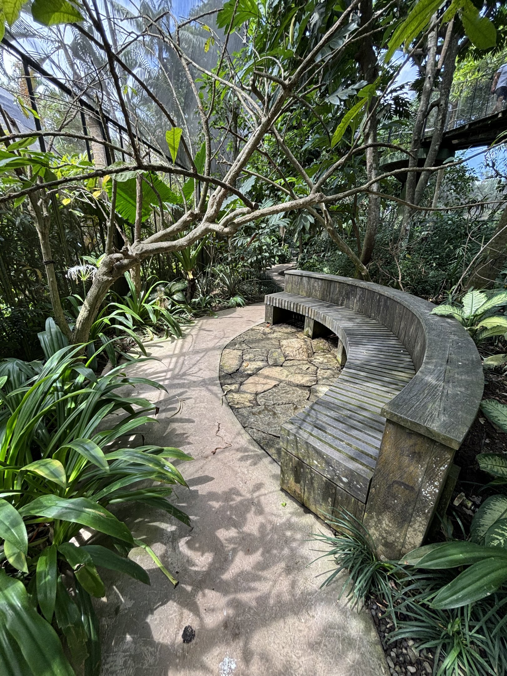 Papua Aviary