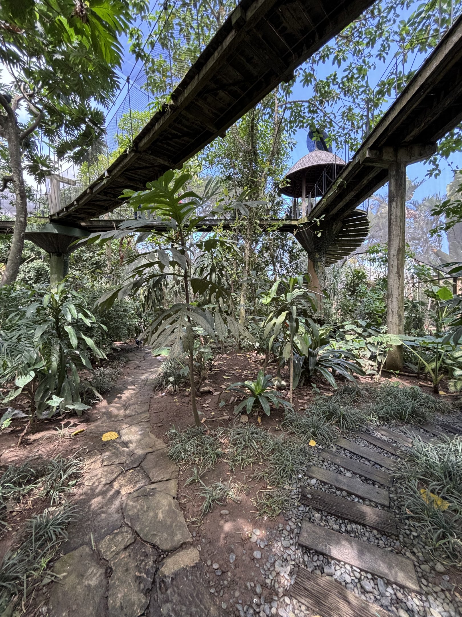 Papua Aviary