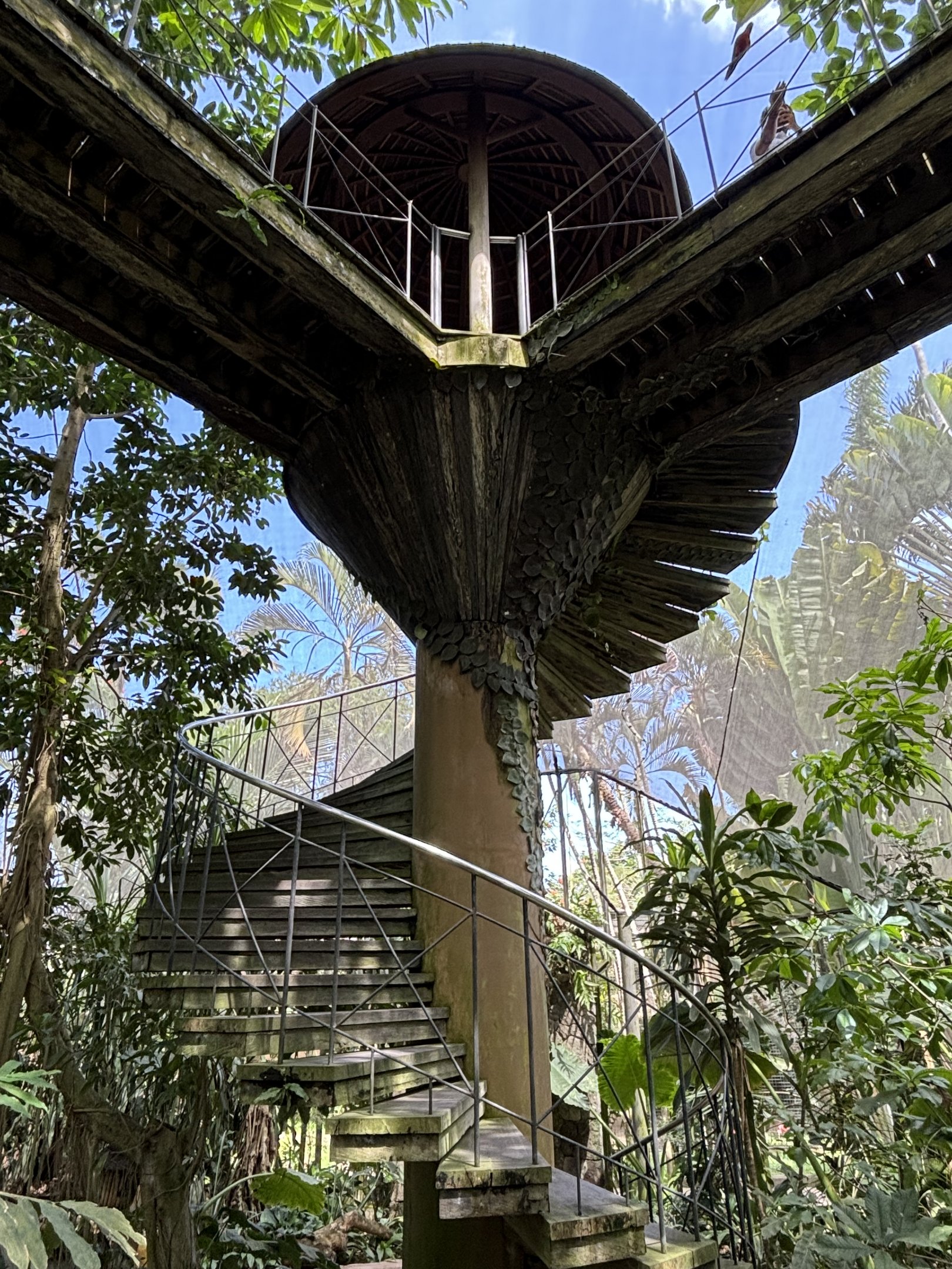 Papua Aviary