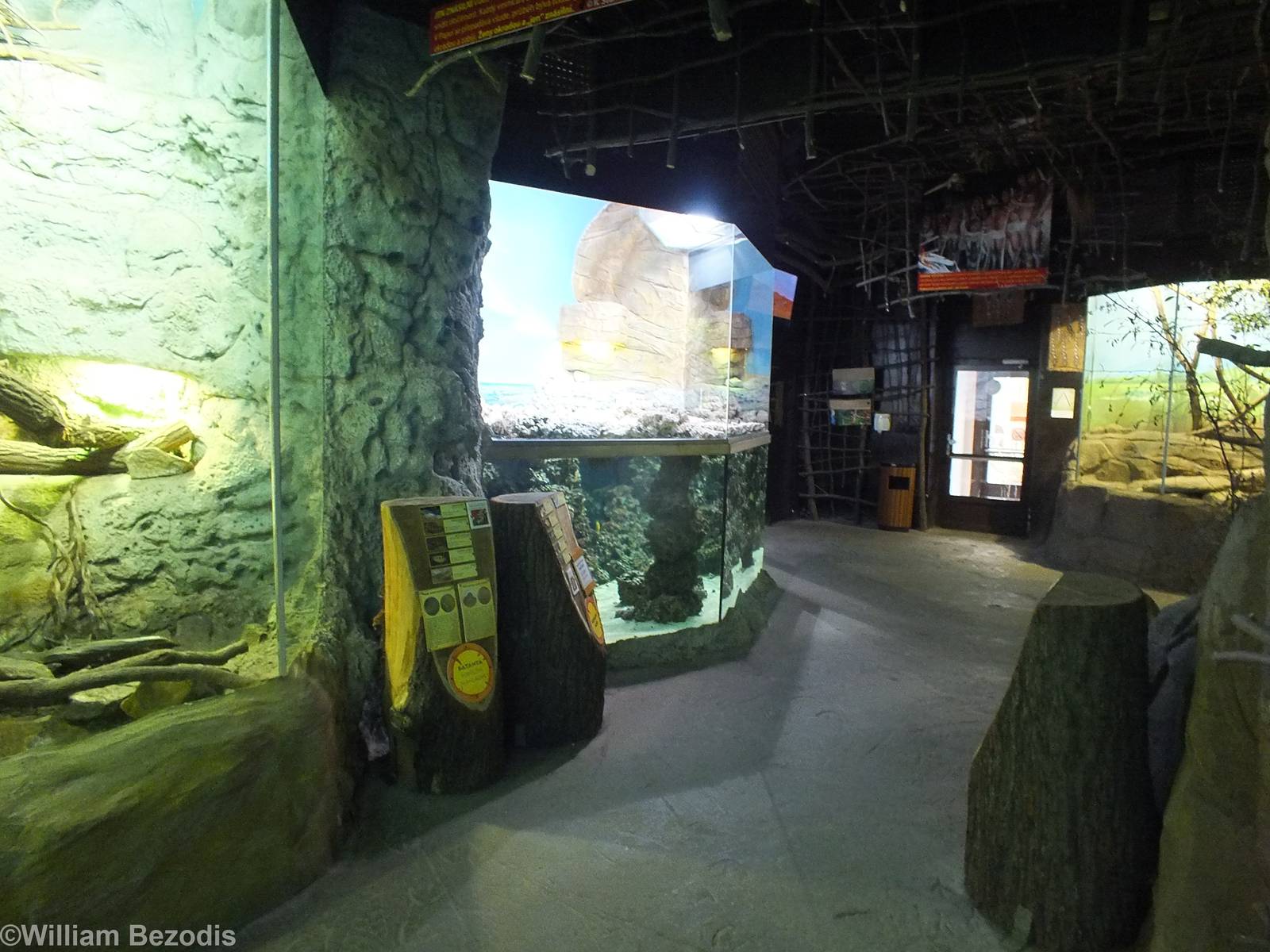 Papua Building (Species list for all tanks and terrariums in description)