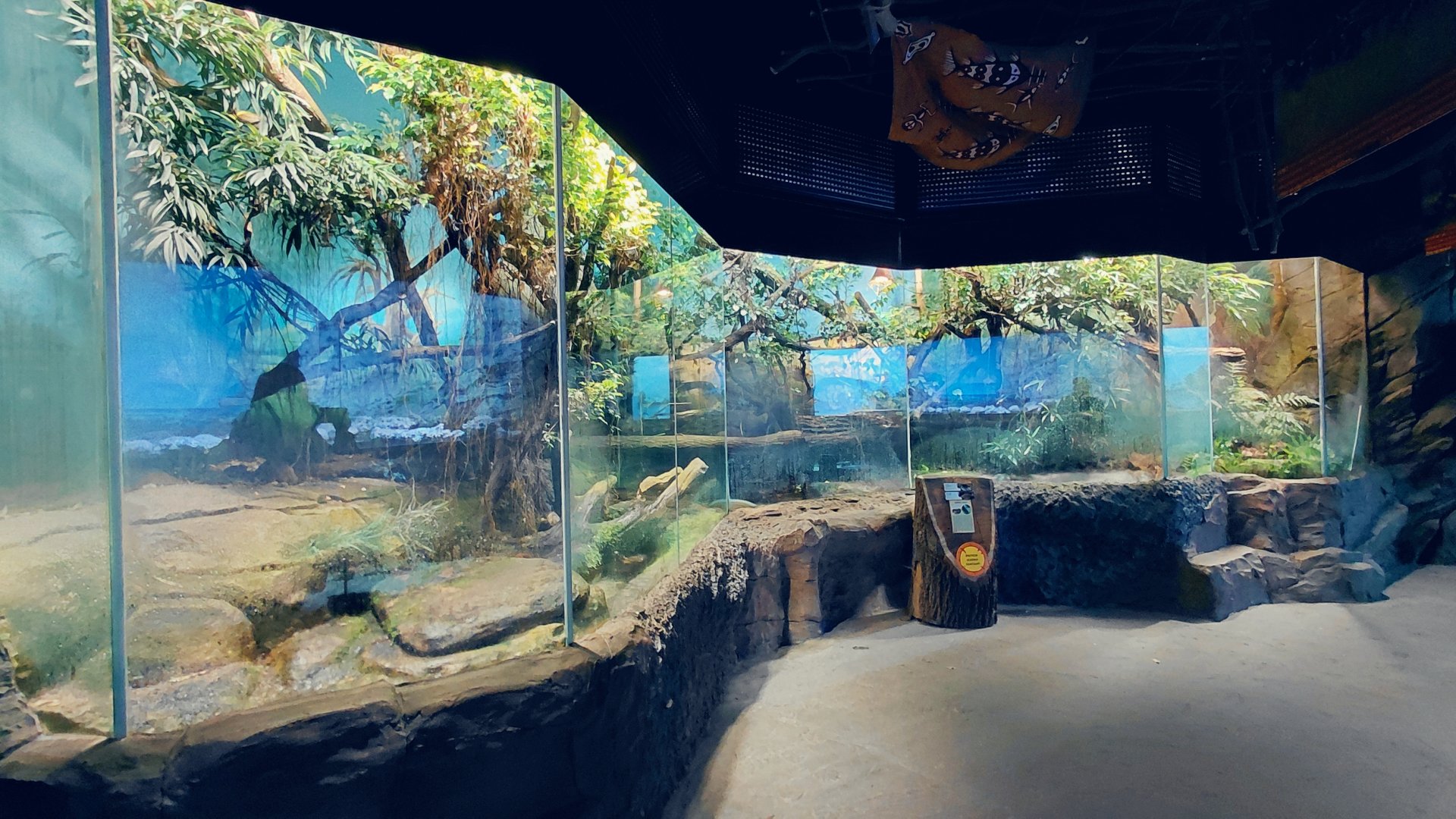 Papua - Crocodile monitor exhibit