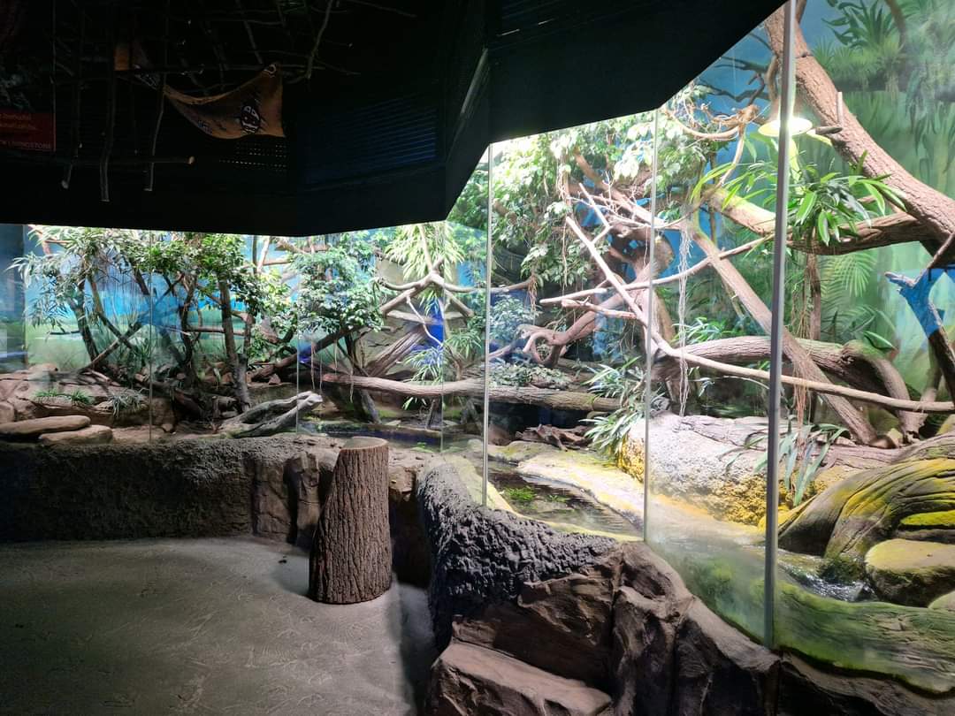 Papua exhibit