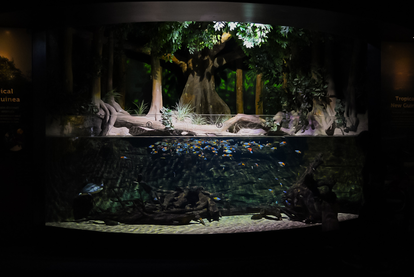 Papua New Guinea Tank