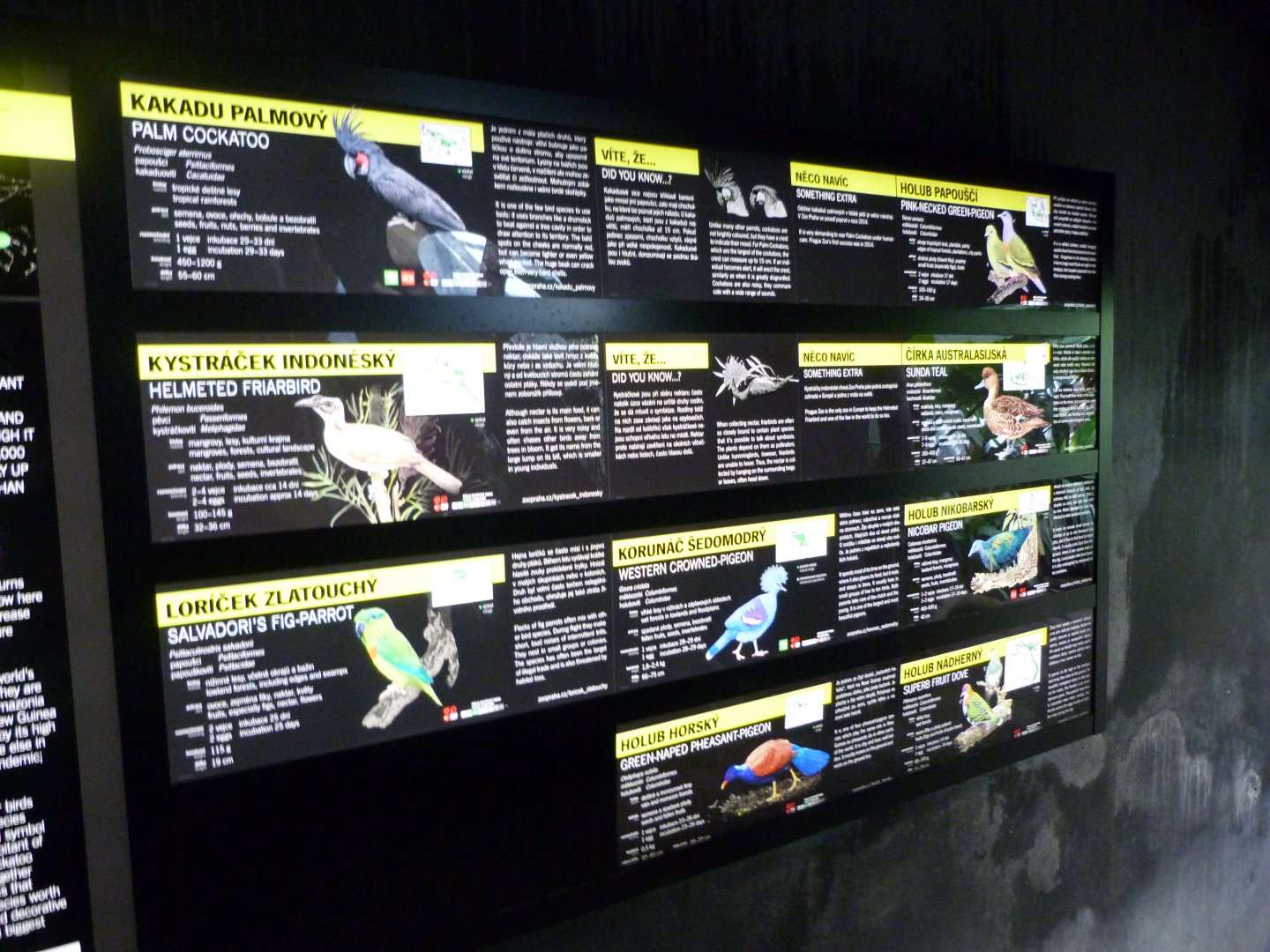 Papua New Guinea walkthrough aviary species signs -Zoo Praha (2025)