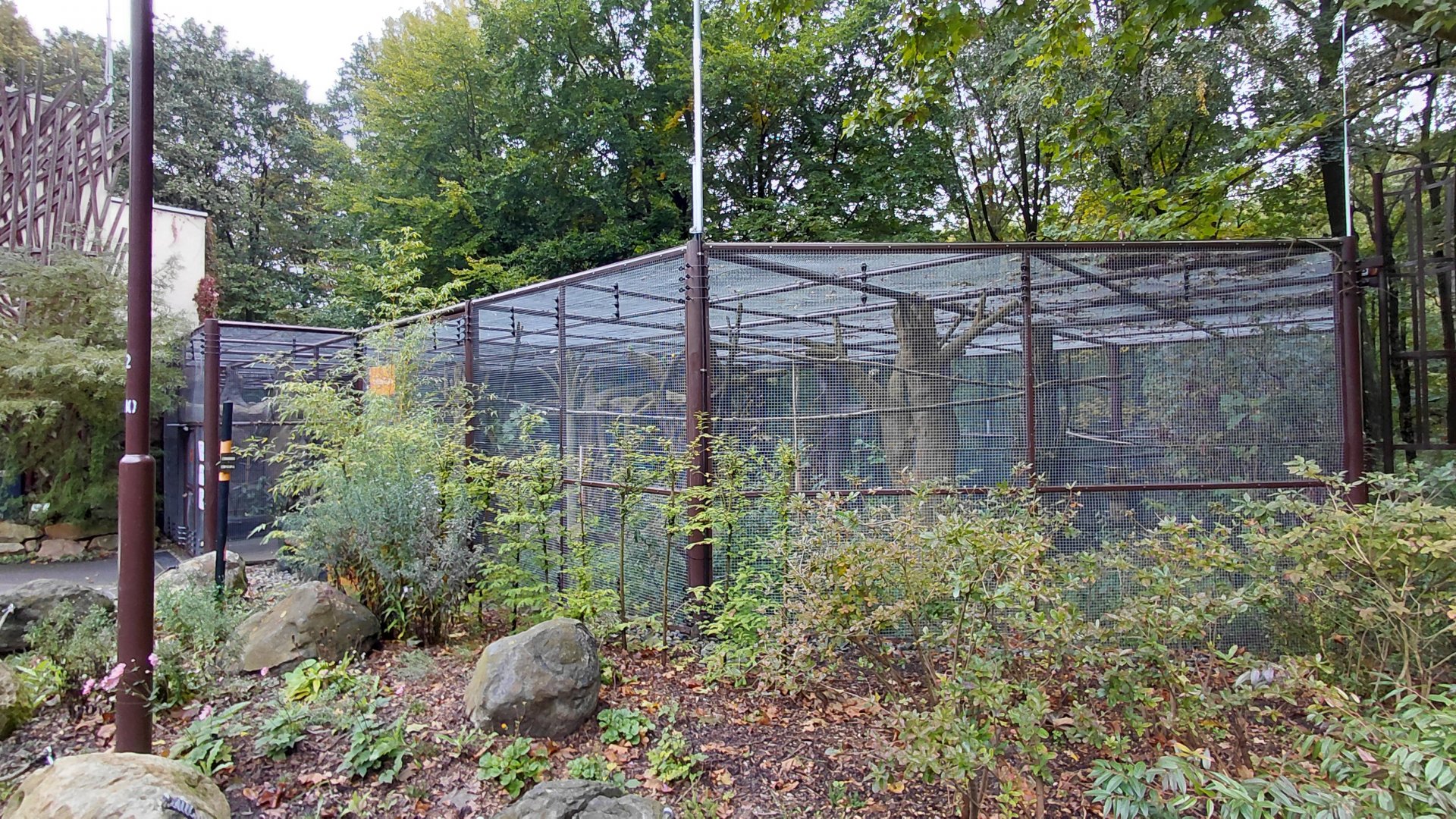 Papua walkthrough aviary