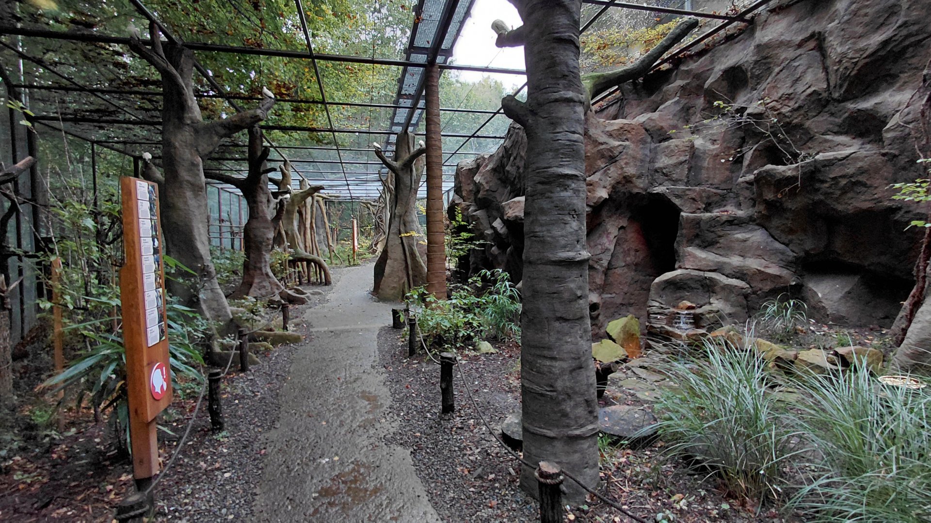 Papua walkthrough aviary