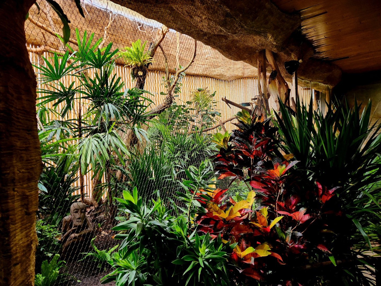 Papuan Aviary (D.W.A.)